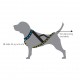 Dog Harness Nome Active