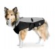 Softshell Dog Coat