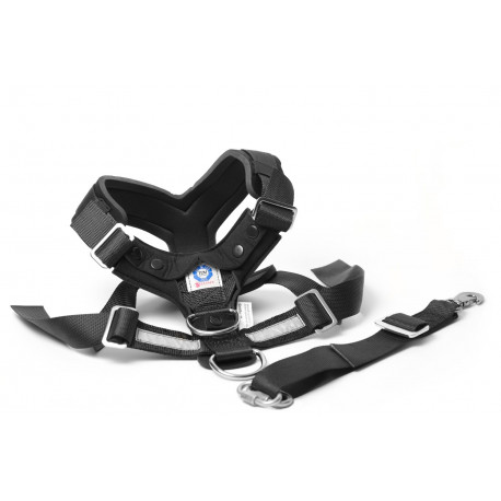 Allsafe Harness